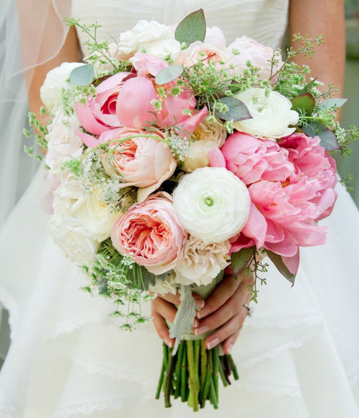 Gerbera Flower | Arabia Weddings