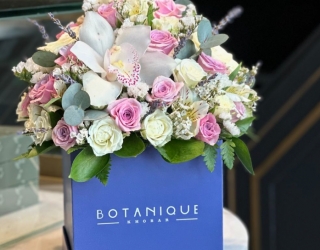 Botanique