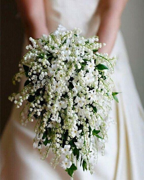 white jasmine bridal