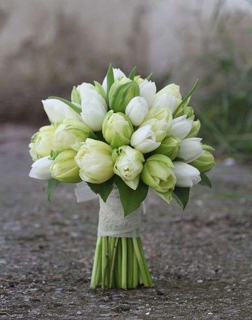 Tulips for store wedding bouquet