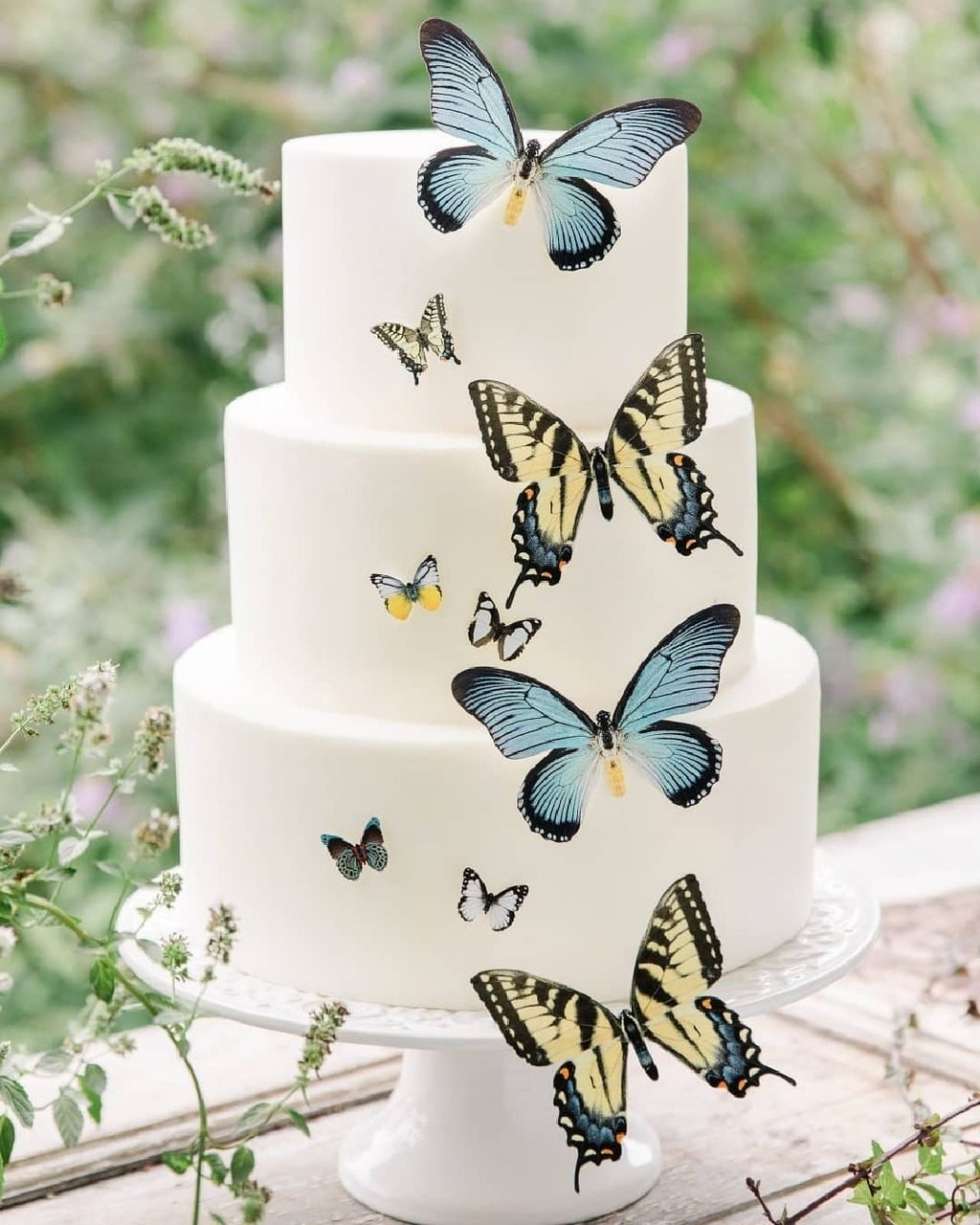 Butterflies for Your Wedding Decoration | Arabia Weddings