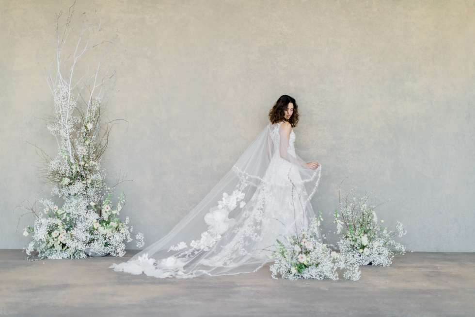 Claire hotsell pettibone 2019