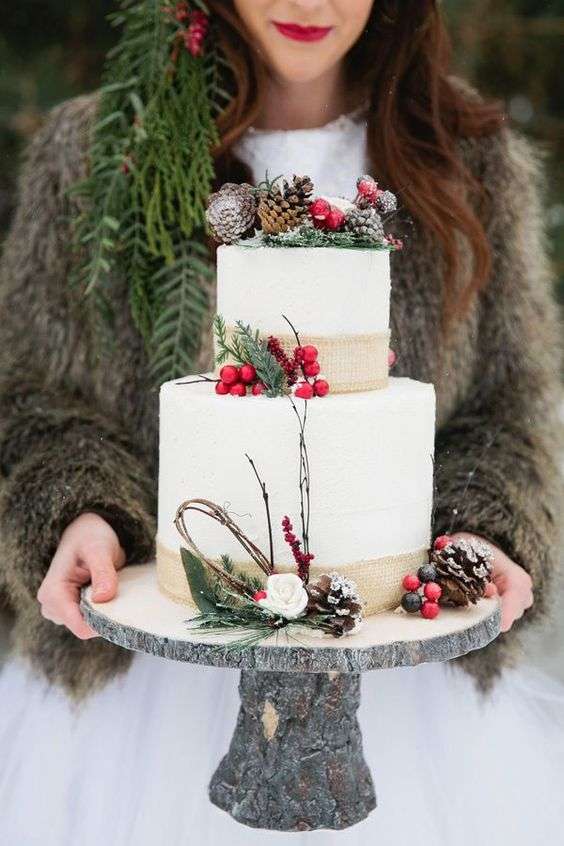 Winter Cake Ideas Must Try This​ Winter​ Season : Winter Wonderland Cake
