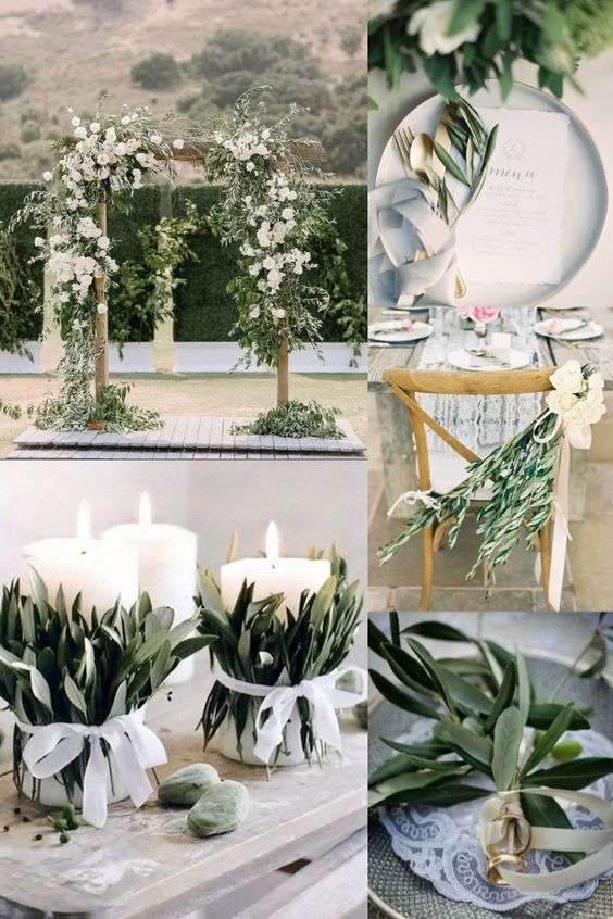 What to Do With Olive Branches