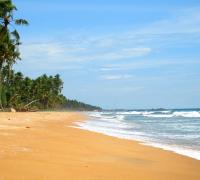 Honeymoon Destination: The Beautiful Island of Sri Lanka! - Arabia Weddings